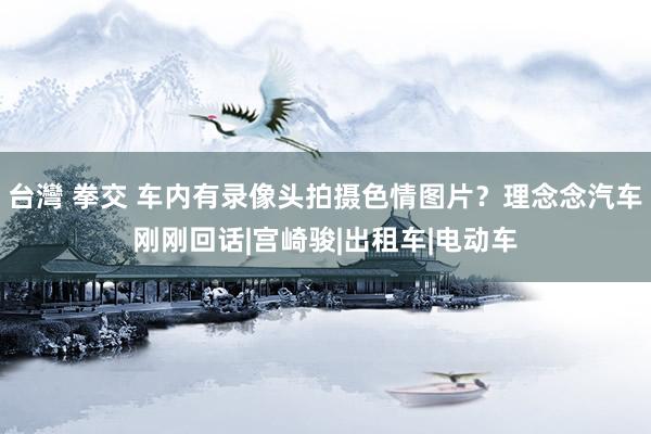 台灣 拳交 车内有录像头拍摄色情图片？理念念汽车刚刚回话|宫崎骏|出租车|电动车