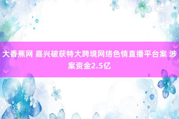 大香蕉网 嘉兴破获特大跨境网络色情直播平台案 涉案资金2.5亿