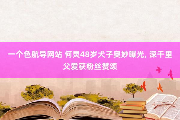 一个色航导网站 何炅48岁犬子奥妙曝光， 深千里父爱获粉丝赞颂