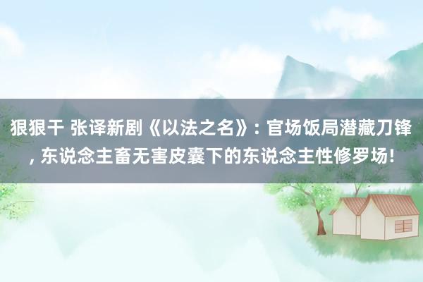 狠狠干 张译新剧《以法之名》: 官场饭局潜藏刀锋， 东说念主畜无害皮囊下的东说念主性修罗场!